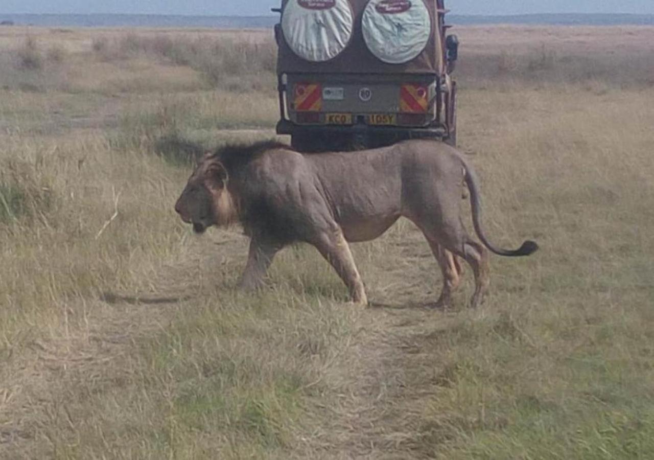 Aa Lodge Maasai Mara Talek Kültér fotó
