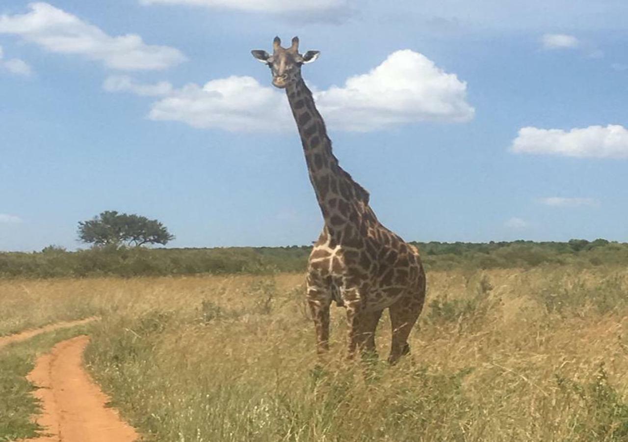 Aa Lodge Maasai Mara Talek Kültér fotó
